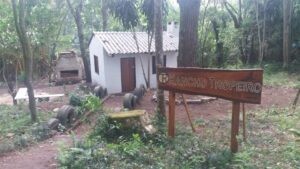 Leia mais sobre o artigo Rancho Tropeiro